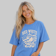 Red White & 250 patriotic eagle t-shirt design